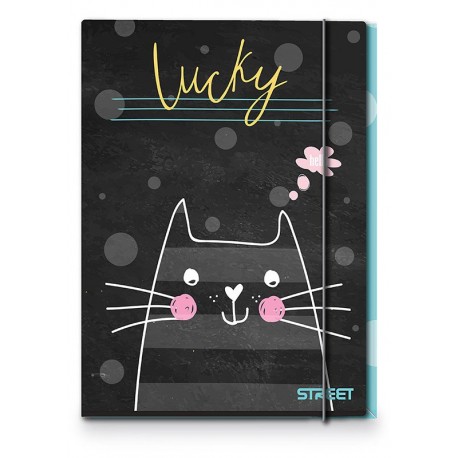 Mapa s gumicom Street My cat