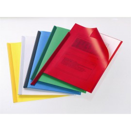 Profilna mapa Durable 2919, 50/1