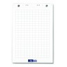 Flipchart blok Forpus - karo, 20/1
