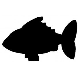 Tabla črna kredna FBFISH